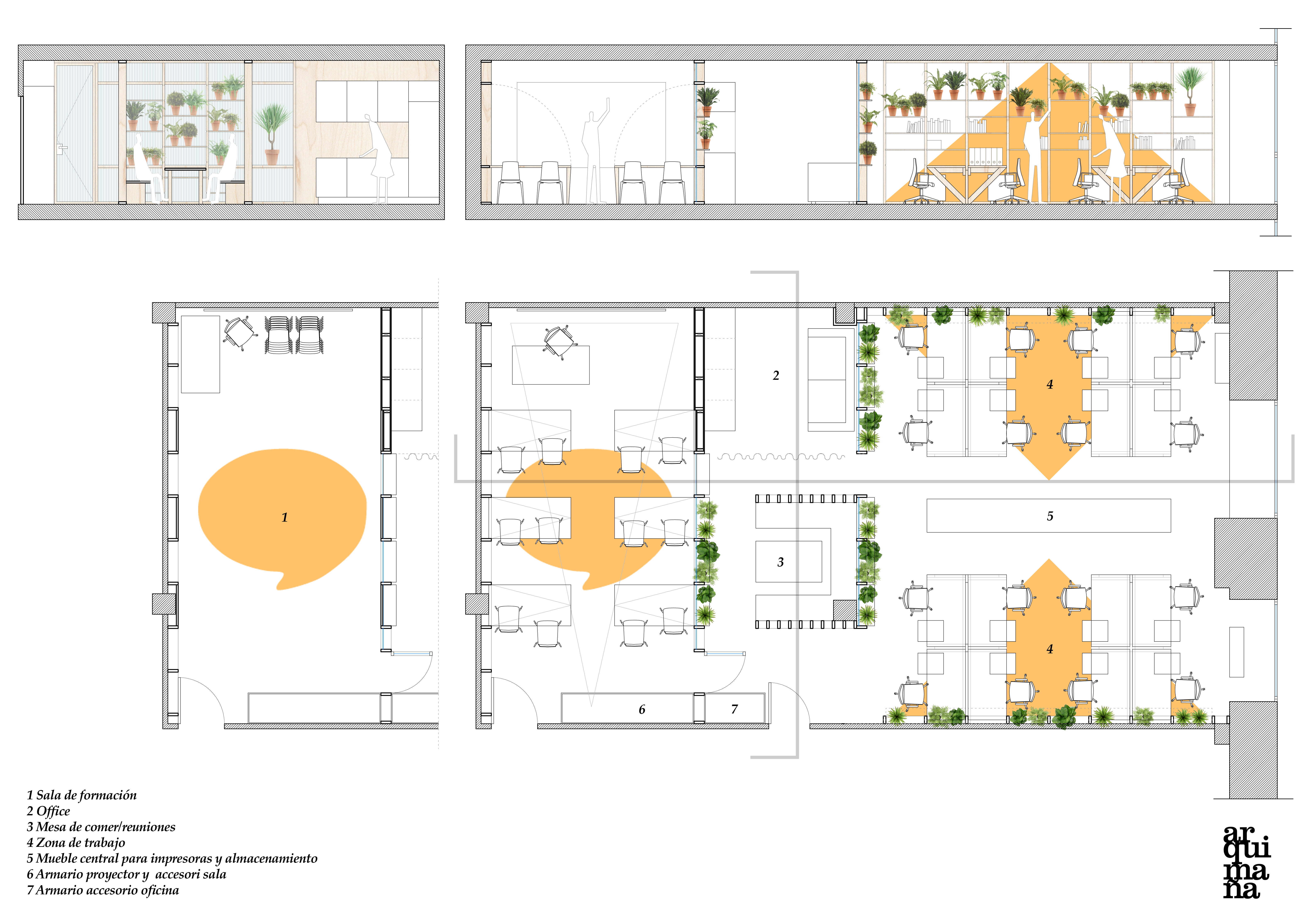 planta2